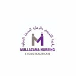 Medical Coder(Junior & Senior)